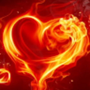 Meet your Posher, Thuy